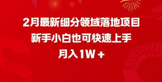 2月最新细分领域落地项目,新手小白也可快速上手,月入1W-靠谱项目库