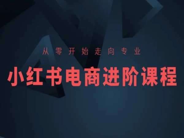 从零开始走向专业，小红书电商进阶课程-靠谱项目库