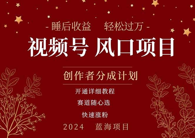 拥有睡眠收益的微信视频号大风口项目，轻松月入过万+，多赛道选择，可…-靠谱项目库