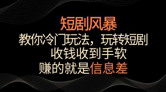 短剧风暴，教你冷门玩法，玩转短剧，收钱收到手软【揭秘】-靠谱项目库