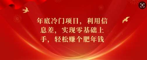 年底冷门项目，利用信息差，实现零基础上手，轻松赚个肥年钱【揭秘】-靠谱项目库