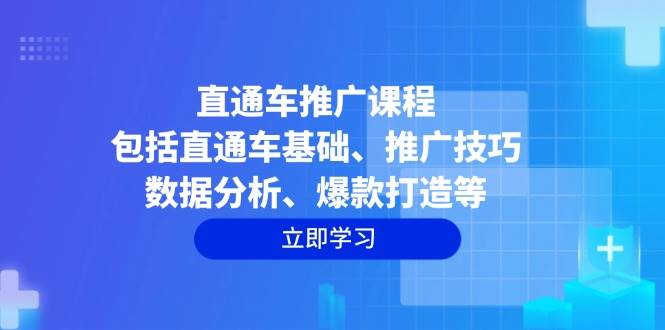 （14001期）直通车推广课程：包括直通车基础、推广技巧、数据分析、爆款打造等-靠谱项目库