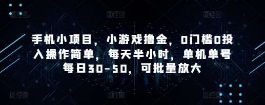 手机小项目,小游戏撸金,0门槛0投入操作简单,每天半小时,单机单号每日30-50,可批量放大-靠谱项目库
