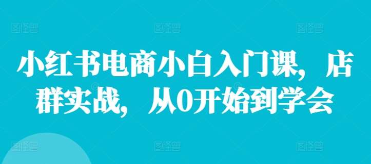 小红书电商小白入门课，店群实战，从0开始到学会-靠谱项目库