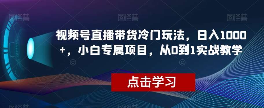 视频号直播带货冷门玩法，日入1000+，小白专属项目，从0到1实战教学【揭秘】-靠谱项目库