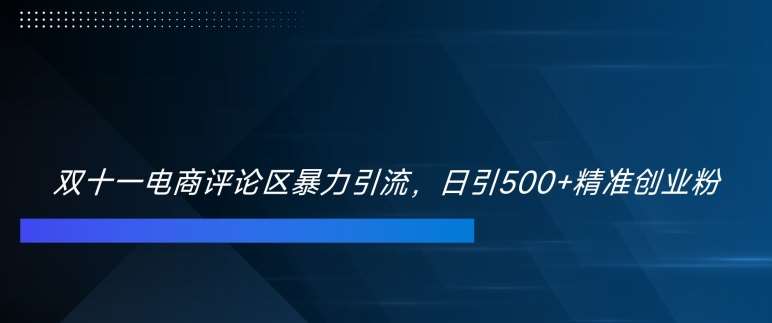 双十一电商评论区暴力引流，日引500+精准创业粉【揭秘】-靠谱项目库