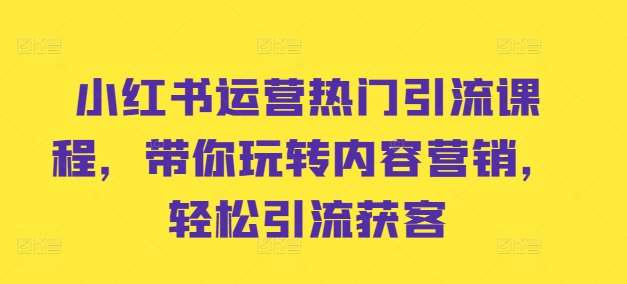 小红书运营热门引流课程，带你玩转内容营销，轻松引流获客-靠谱项目库