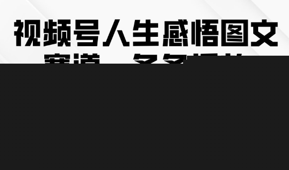 视频号人生感悟图文赛道，条条播放10w+，这个方法做视频号太牛了-靠谱项目库