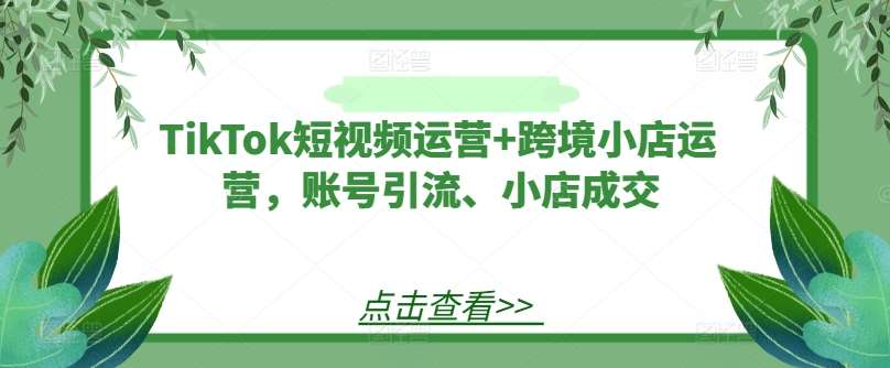 TikTok短视频运营+跨境小店运营，账号引流、小店成交-靠谱项目库