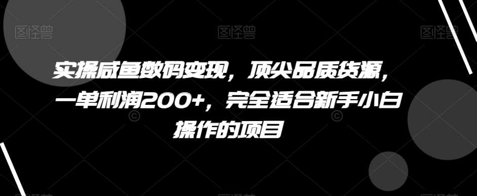实操咸鱼数码变现,顶尖品质货源,一单利润200+,完全适合新手小白操作的项目【揭秘】-靠谱项目库