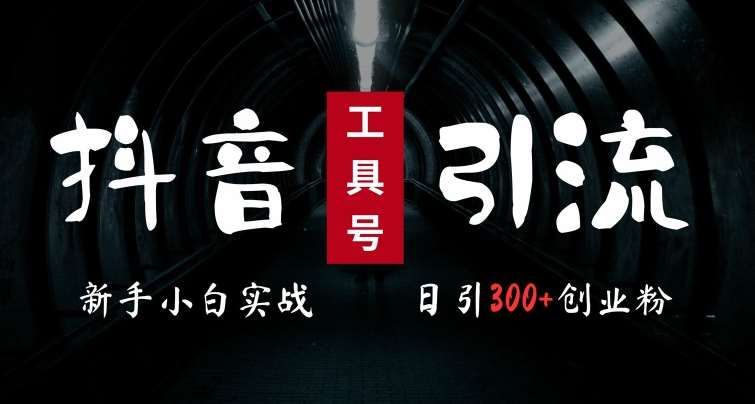 2024最新抖音工具号引流玩法，高效日引300+创业粉，当天变现5k，小白也可成为实战高手-靠谱项目库
