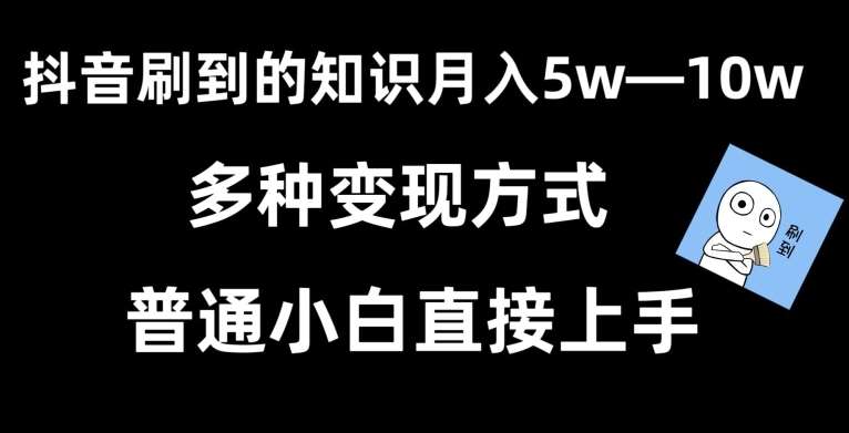 抖音刷到的知识,每天只需2小时,日入2000+,暴力变现,普通小白直接上手【揭秘】-靠谱项目库