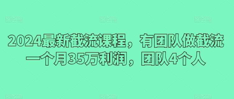 2024最新截流课程,有团队做截流一个月35万利润,团队4个人-靠谱项目库