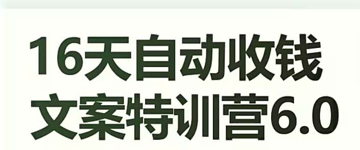 16天自动收钱文案特训营6.0，学会儿每天自动咔咔收钱-靠谱项目库