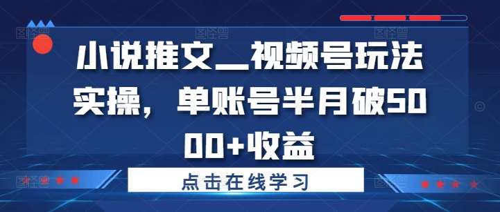 小说推文—视频号玩法实操，单账号半月破5000+收益-靠谱项目库