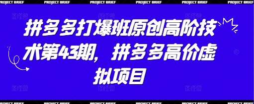 拼多多打爆班原创高阶技术第43期，拼多多高价虚拟项目-靠谱项目库