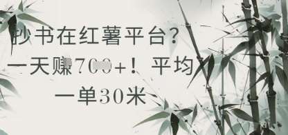抄书在小红薯平台？平均一单30米，一天收益几张！-靠谱项目库