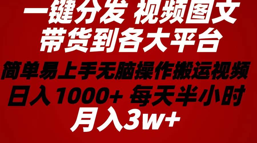 2024年 一键分发带货图文视频 简单易上手 无脑赚收益 每天半小时日入1...-靠谱项目库