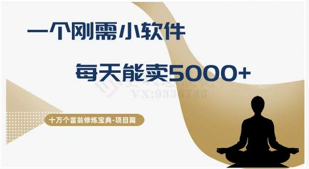 十万个富翁修炼宝典之17.一个刚需小软件，每天能卖5000+-靠谱项目库