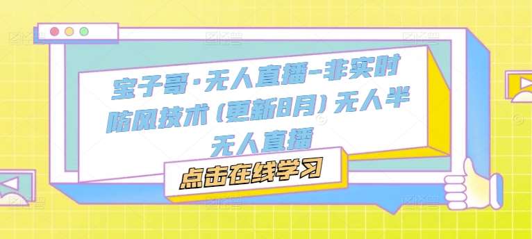 宝子哥·无人直播-非实时防风技术(更新8月)无人半无人直播-靠谱项目库