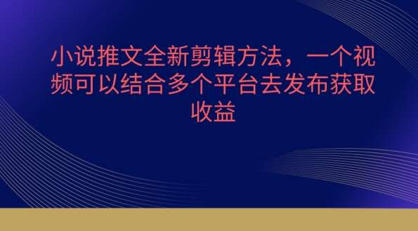 小说推文全新剪辑方法,一个视频可以结合多个平台去发布获取【揭秘】-靠谱项目库