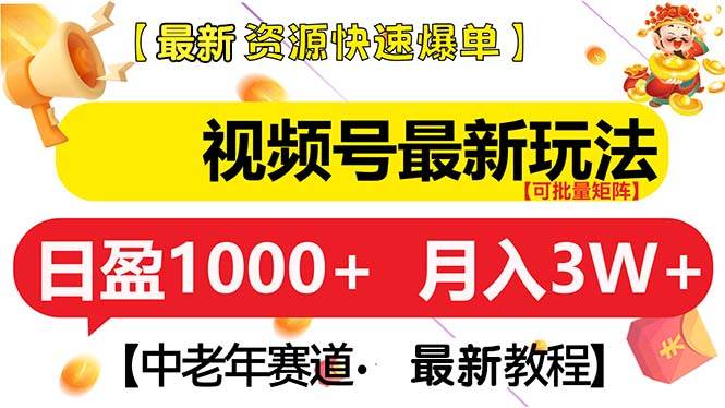 （13530期）视频号最新玩法 中老年赛道 月入3W+-靠谱项目库