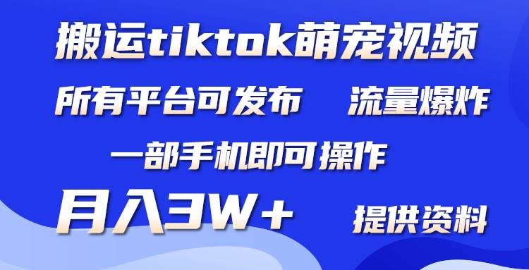 搬运Tiktok萌宠类视频，一部手机即可。所有短视频平台均可操作，月入3W+-靠谱项目库