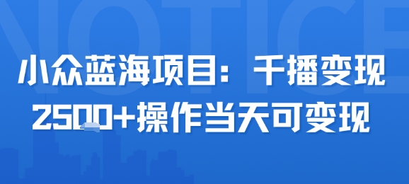 小众蓝海项目,千播变现2.5k+操作当天可变现-靠谱项目库