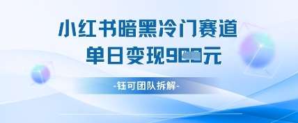 小红书冷门”暗黑”赛道，单日收益多张-靠谱项目库