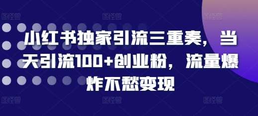 小红书独家引流三重奏，当天引流100+创业粉，流量爆炸不愁变现【揭秘】-靠谱项目库
