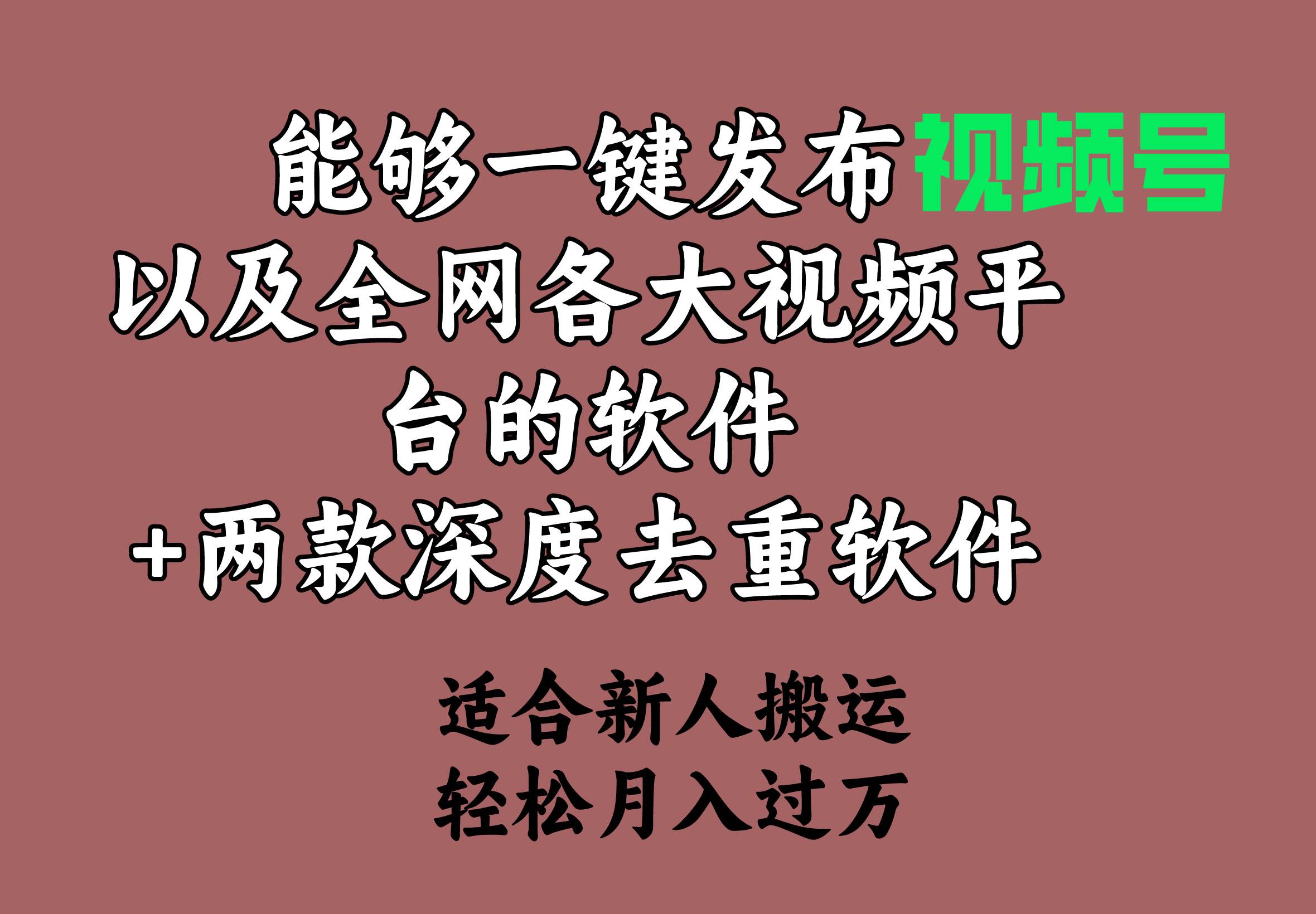 能够一键发布视频号以及全网各大视频平台的软件+两款深度去重软件 适合…-靠谱项目库