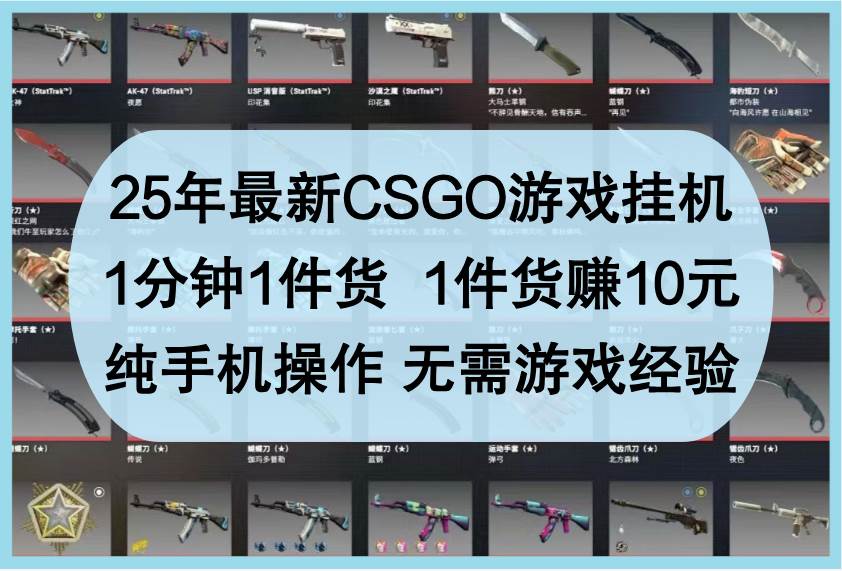 25年最新CSGO游戏挂机,1分钟1件货,1件货赚10元,纯手机操作,无需游戏经验-靠谱项目库