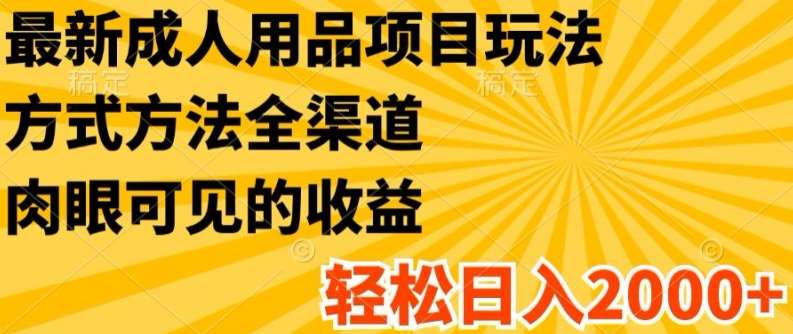 最新成人用品项目玩法，方式方法全渠道，轻松日入2K+【揭秘】-靠谱项目库