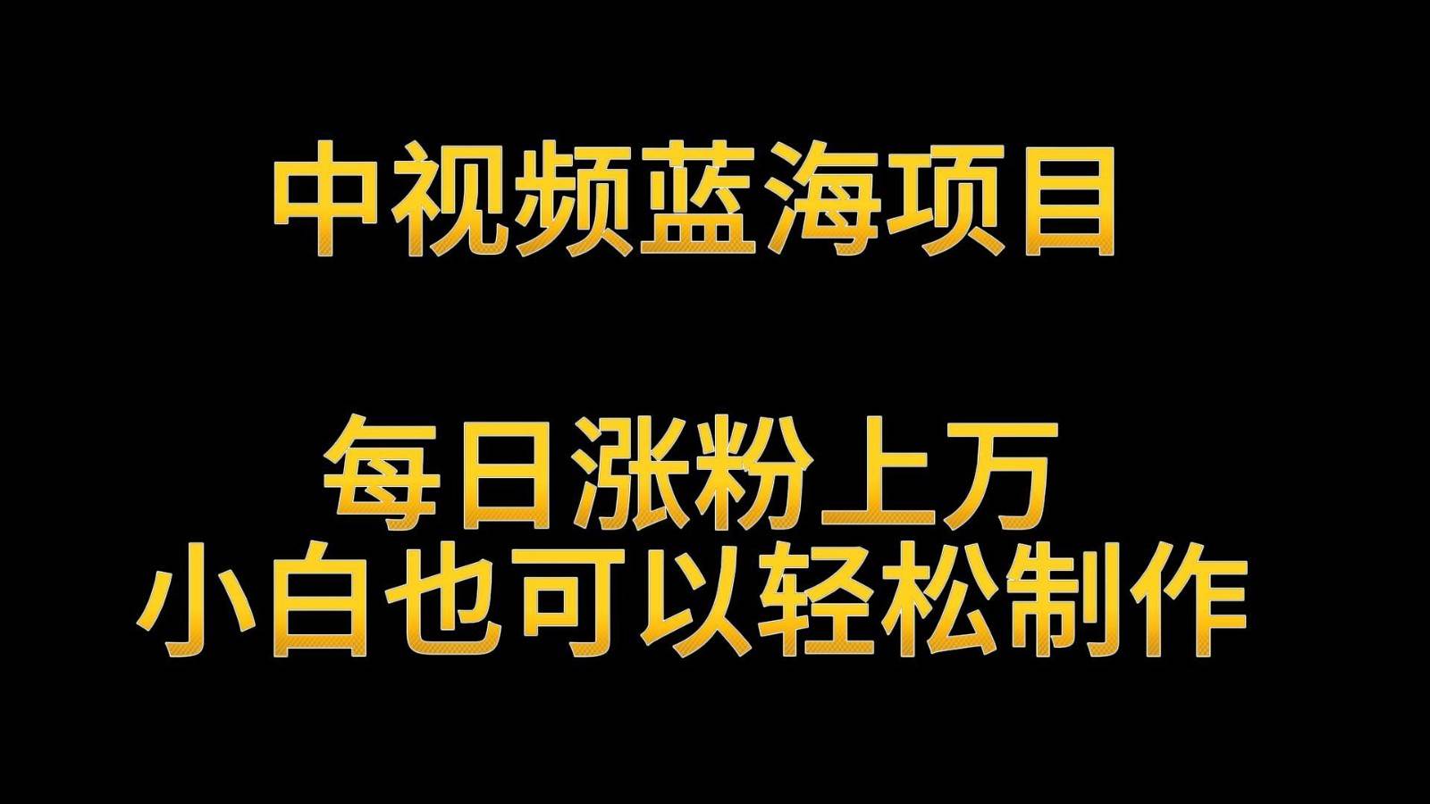 中视频蓝海项目，解读英雄人物生平，每日涨粉上万，小白也可以轻松制作，月入过万-靠谱项目库
