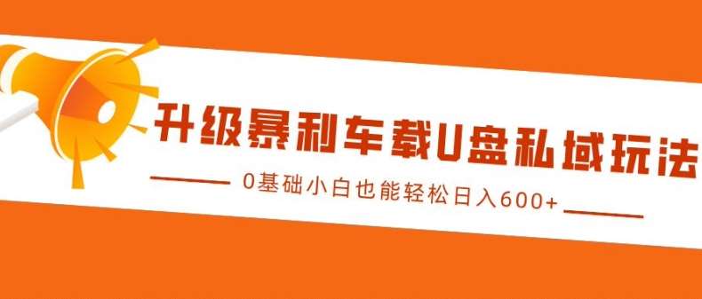升级暴利车载U盘私域玩法，0基础小白也能轻松日入多张【揭秘】-靠谱项目库