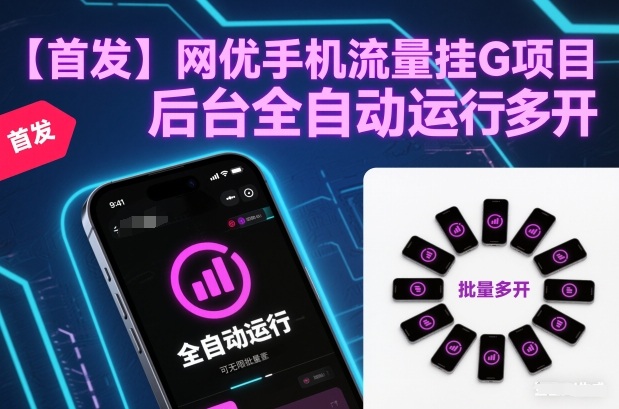 【首发】网优手机流量挂G项目，后台全自动运行，可无限批量多开【揭秘】-靠谱项目库