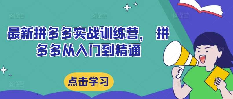 最新拼多多实战训练营， 拼多多从入门到精通-靠谱项目库