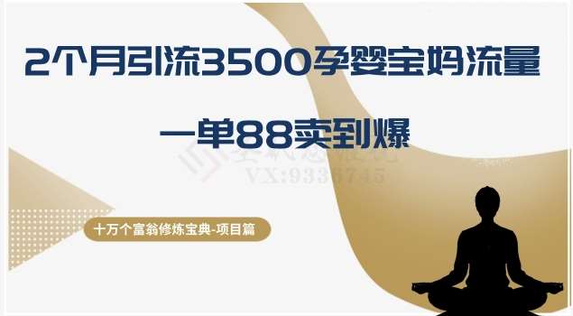 十万个富翁修炼宝典之13.2个月引流3500孕婴宝妈流量，一单88卖到爆-靠谱项目库