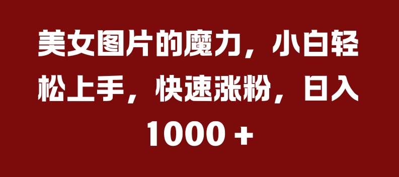 美女图片的魔力，小白轻松上手，快速涨粉，日入几张【揭秘】-靠谱项目库