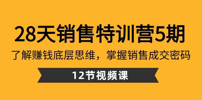 28天销售特训营5期：了解赚钱底层思维，掌握销售成交密码（12节课）-靠谱项目库