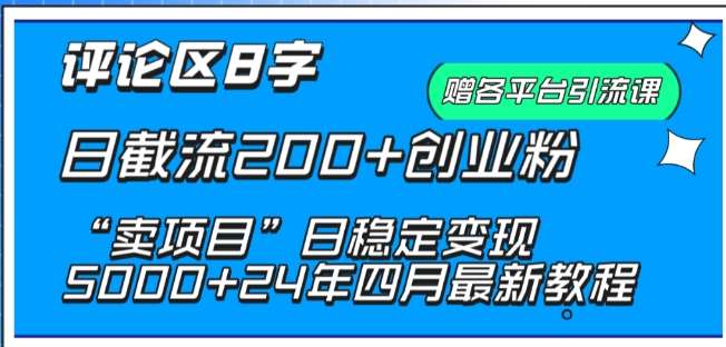 抖音评论区8字日截流200+创业粉 “卖项目”日稳定变现5000+【揭秘】-靠谱项目库