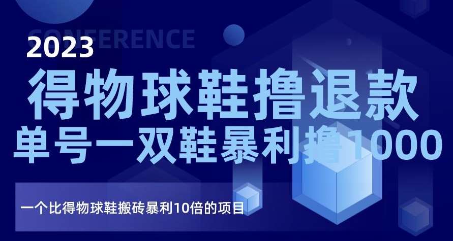 2023得物球鞋撸退款，单号一双鞋暴利撸1000，一个比得物球鞋搬砖暴利10倍的项目【揭秘】-靠谱项目库