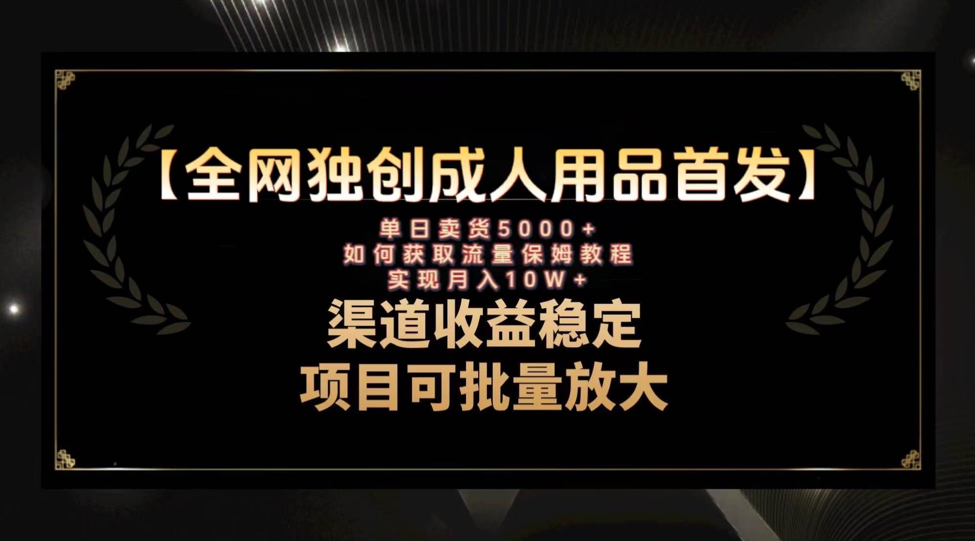 (8128期)最新全网独创首发,成人用品赛道引流获客,月入10w保姆级教程-靠谱项目库
