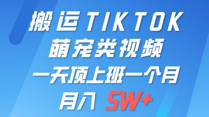 （9931期）一键搬运TIKTOK萌宠类视频 一部手机即可操作 所有平台均可发布 轻松月入5W+-靠谱项目库