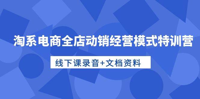 淘系电商全店动销经营模式特训营，线下课录音+文档资料-靠谱项目库