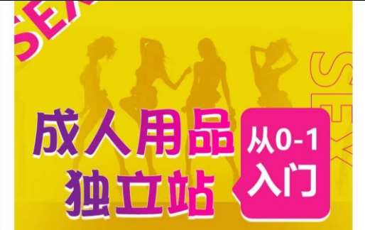 成人用品独立站从0-1入门,成品独立站运营全流程教学,七大好卖成品独立站推荐-靠谱项目库