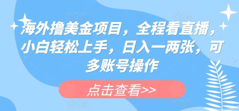 海外撸美金项目，全程看直播，小白轻松上手，日入一两张，可多账号操作【揭秘】-靠谱项目库
