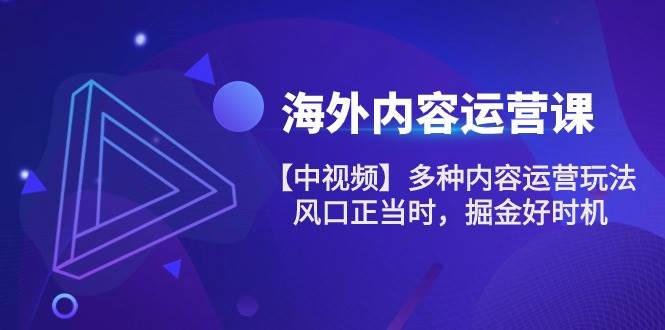 （10833期）海外内容 运营课【中视频】多种内容运营玩法 风口正当时 掘金好时机-101节-靠谱项目库