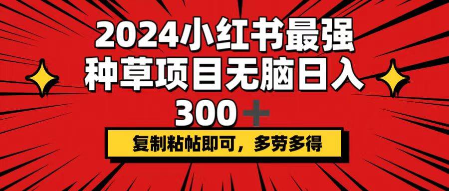 (12336期)2024小红书最强种草项目,无脑日入300+,复制粘帖即可,多劳多得-靠谱项目库