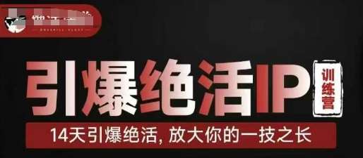 引爆绝活IP训练营，14天引爆绝活，放大你的一技之长-靠谱项目库
